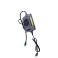 Load image into Gallery viewer, CHARGER
